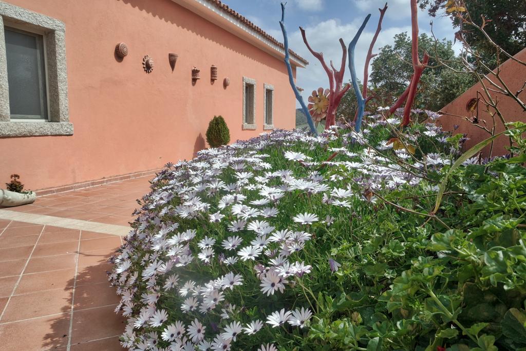 Country House Vignola Mare Aglientu Luaran gambar