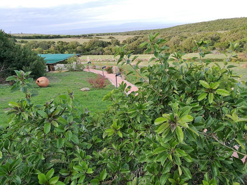 Country House Vignola Mare Aglientu Luaran gambar